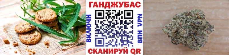 магазин продажи наркотиков  Жиздра  Cannafood марихуана 