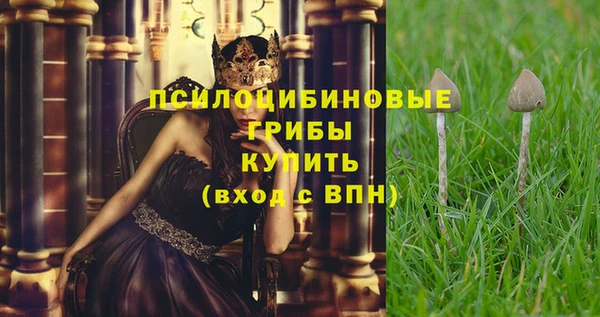 гашиш Вяземский