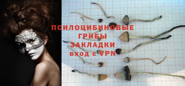 гашиш Вяземский