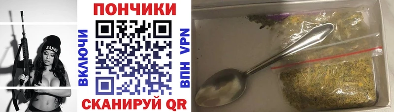 закладки  Жиздра  Конопля ГИДРОПОН 